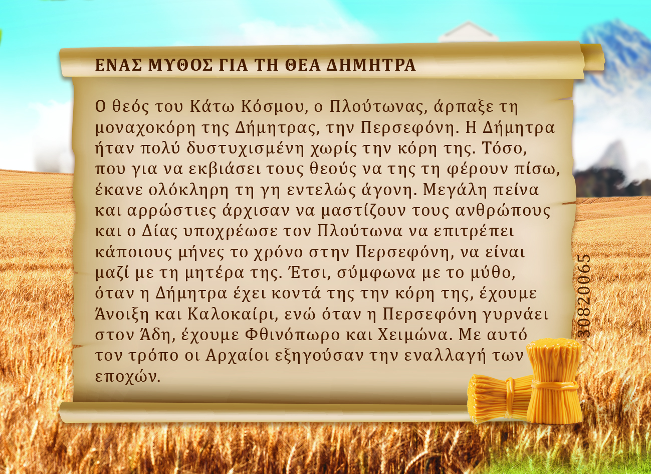 Dimitra - Identity Card back